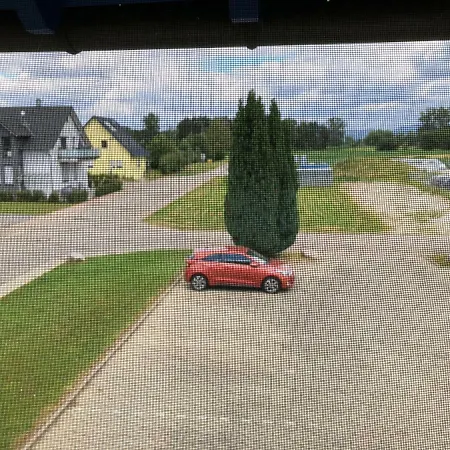 Gassmann * Schutterzell